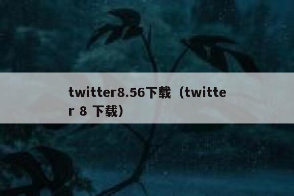 twitter8.56下载（twitter 8 下载） 第1张