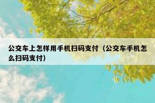 公交车上怎样用手机扫码支付（公交车手机怎么扫码支付） 第1张