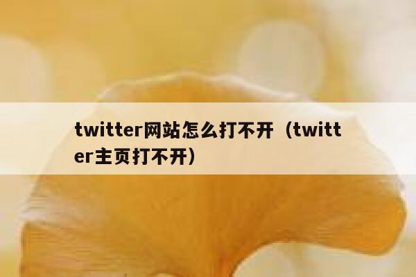 twitter网站怎么打不开（twitter主页打不开） 第1张