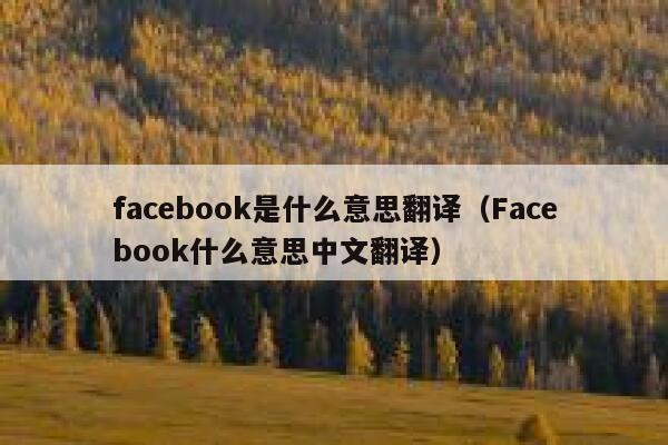 facebook是什么意思翻译（Facebook什么意思中文翻译） 第1张