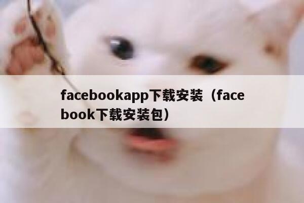 facebookapp下载安装（facebook下载安装包） 第1张