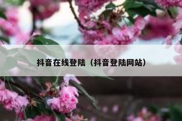 抖音在线登陆（抖音登陆网站） 第1张