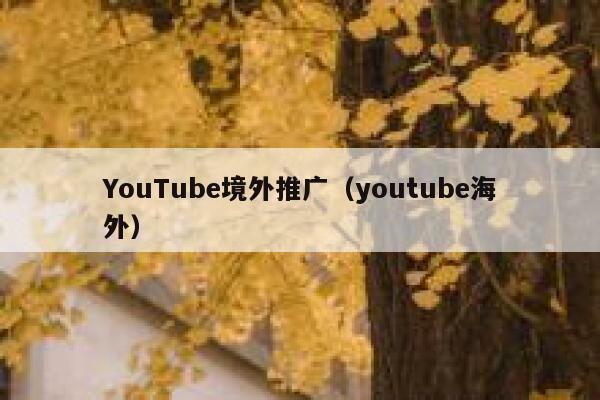 YouTube境外推广（youtube海外） 第1张