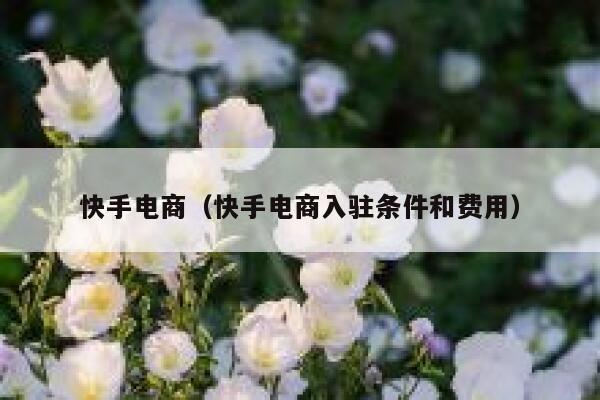 快手电商（快手电商入驻条件和费用） 第1张