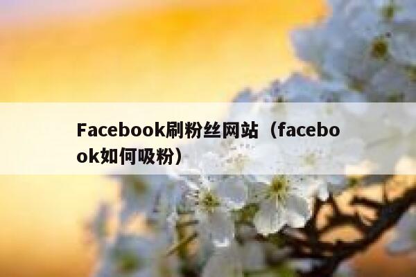 Facebook刷粉丝网站（facebook如何吸粉） 第1张