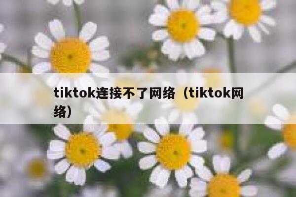 tiktok连接不了网络（tiktok网络） 第1张