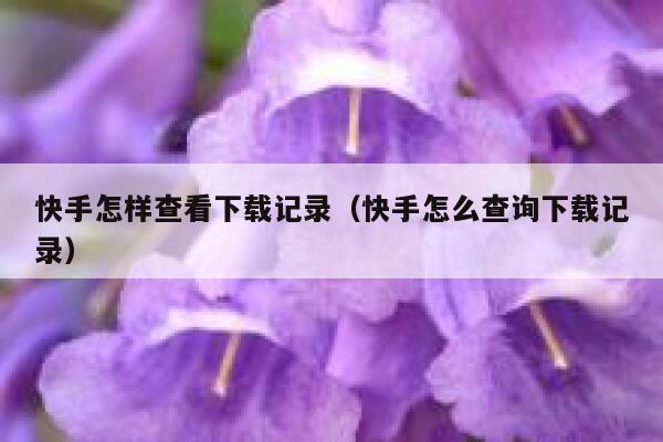 快手怎样查看下载记录（快手怎么查询下载记录） 第1张