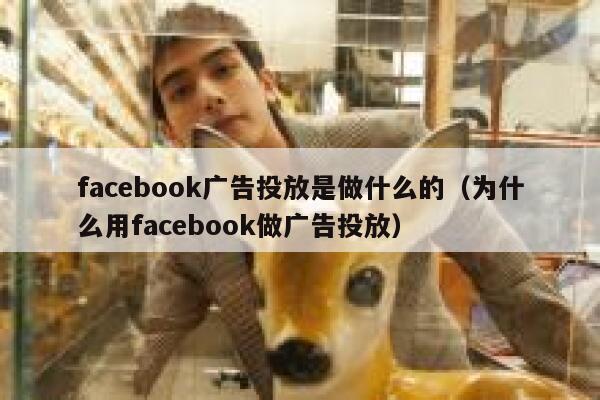 facebook广告投放是做什么的（为什么用facebook做广告投放） 第1张