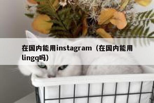 在国内能用instagram（在国内能用lingq吗） 第1张