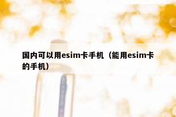 国内可以用esim卡手机（能用esim卡的手机） 第1张