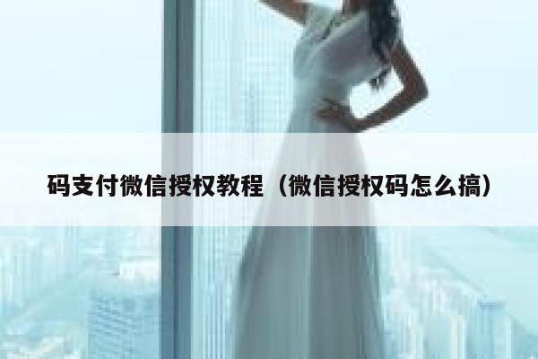 码支付微信授权教程（微信授权码怎么搞） 第1张