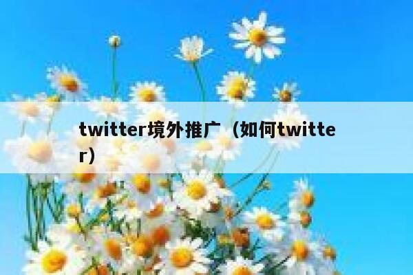 twitter境外推广（如何twitter） 第1张