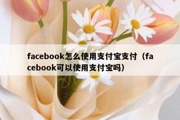 facebook怎么使用支付宝支付（facebook可以使用支付宝吗） 第1张