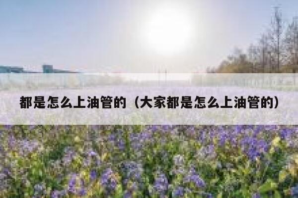 都是怎么上油管的（大家都是怎么上油管的） 第1张