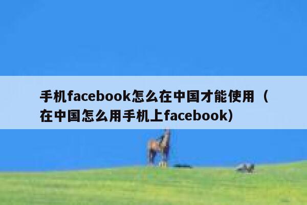 手机facebook怎么在中国才能使用（在中国怎么用手机上facebook） 第1张