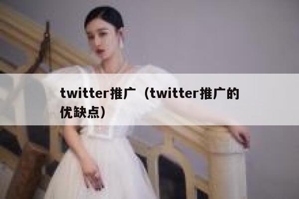 twitter推广（twitter推广的优缺点） 第1张