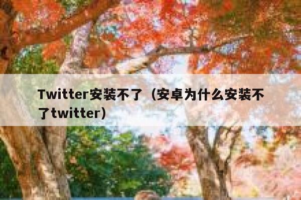 Twitter安装不了（安卓为什么安装不了twitter） 第1张