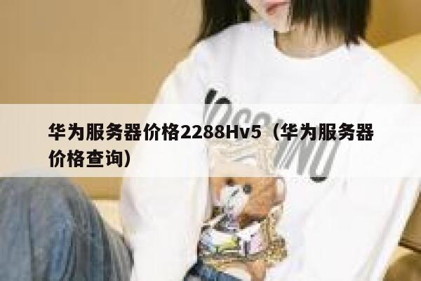 华为服务器价格2288Hv5（华为服务器价格查询） 第1张