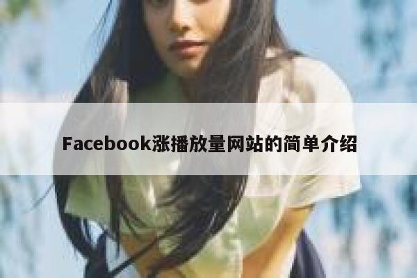 Facebook涨播放量网站的简单介绍 第1张