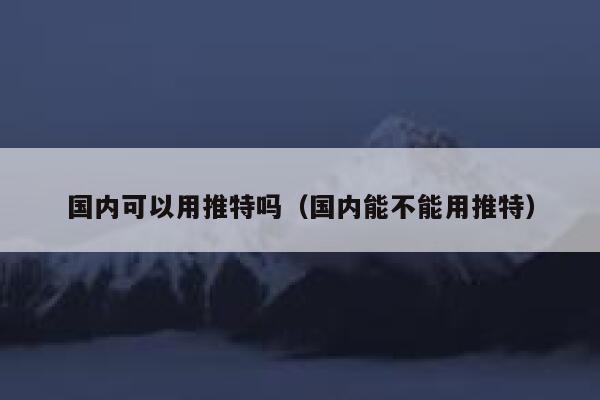 国内可以用推特吗（国内能不能用推特） 第1张