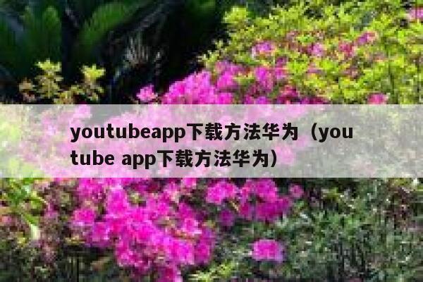 youtubeapp下载方法华为（youtube app下载方法华为） 第1张