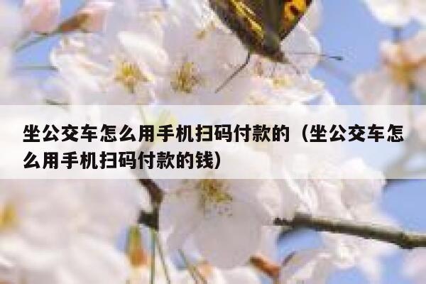 坐公交车怎么用手机扫码付款的（坐公交车怎么用手机扫码付款的钱） 第1张