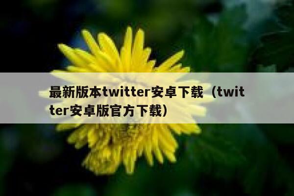 最新版本twitter安卓下载（twitter安卓版官方下载） 第1张