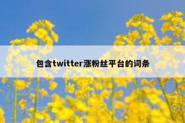 包含twitter涨粉丝平台的词条 第1张