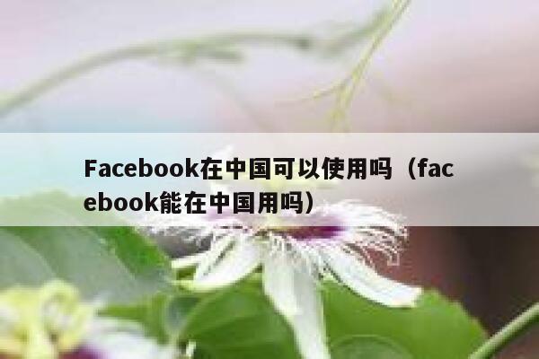 Facebook在中国可以使用吗（facebook能在中国用吗） 第1张