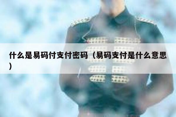 什么是易码付支付密码（易码支付是什么意思） 第1张