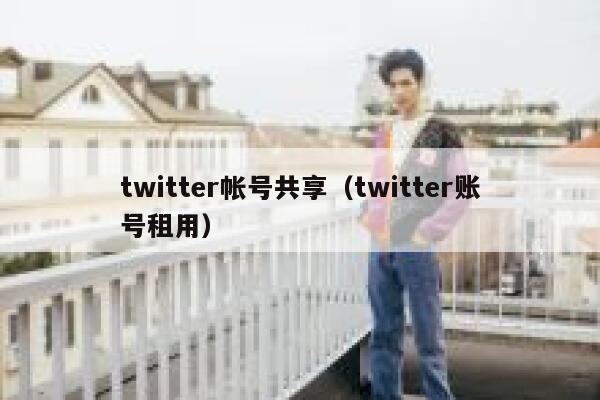 twitter帐号共享（twitter账号租用） 第1张