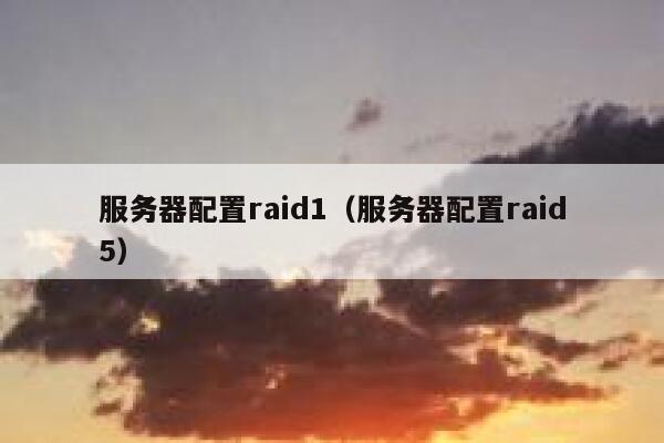 服务器配置raid1（服务器配置raid5） 第1张