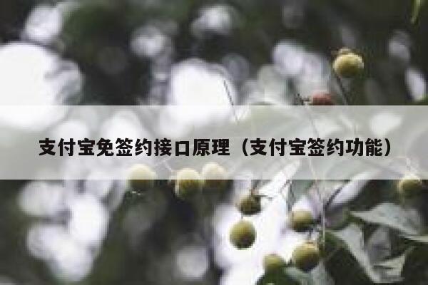 支付宝免签约接口原理（支付宝签约功能） 第1张