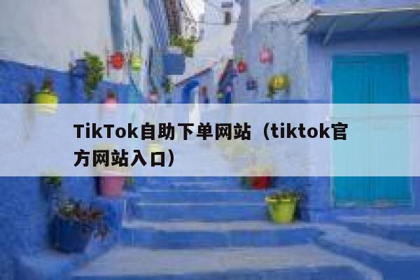 TikTok自助下单网站（tiktok官方网站入口） 第1张