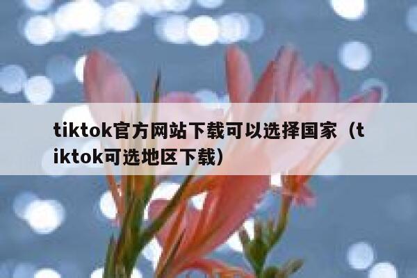 tiktok官方网站下载可以选择国家（tiktok可选地区下载） 第1张