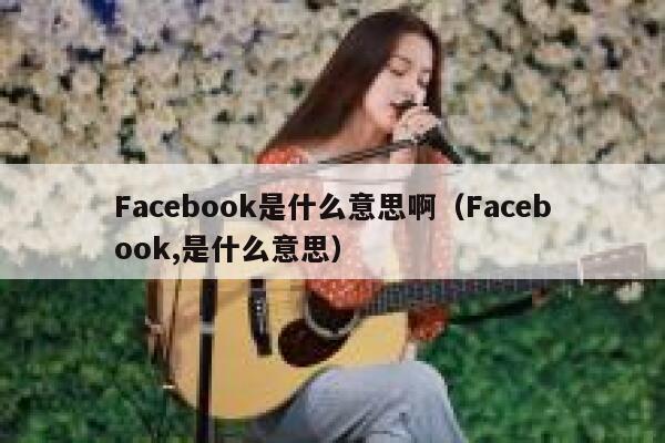 Facebook是什么意思啊（Facebook,是什么意思） 第1张