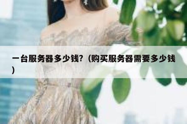 一台服务器多少钱?（购买服务器需要多少钱） 第1张