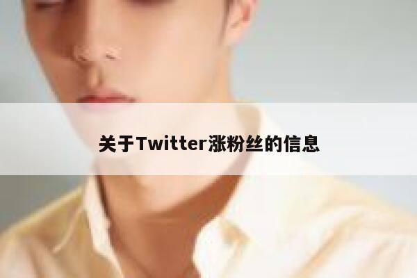 关于Twitter涨粉丝的信息 第1张