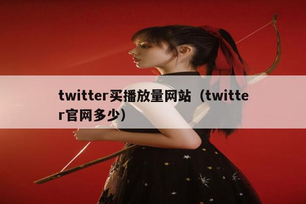 twitter买播放量网站（twitter官网多少） 第1张