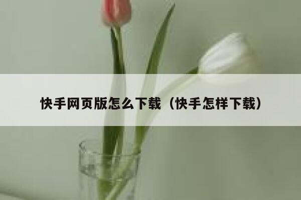 快手网页版怎么下载（快手怎样下载） 第1张