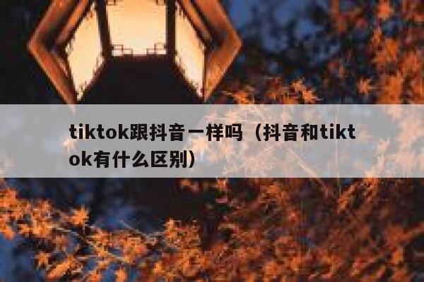 tiktok跟抖音一样吗（抖音和tiktok有什么区别） 第1张