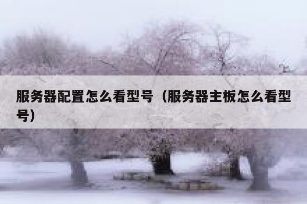 服务器配置怎么看型号（服务器主板怎么看型号） 第1张