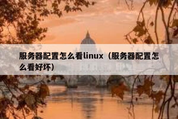 服务器配置怎么看linux（服务器配置怎么看好坏） 第1张