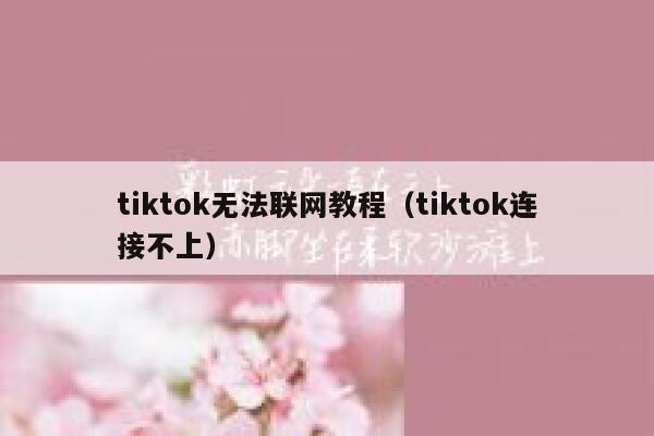 tiktok无法联网教程（tiktok连接不上） 第1张