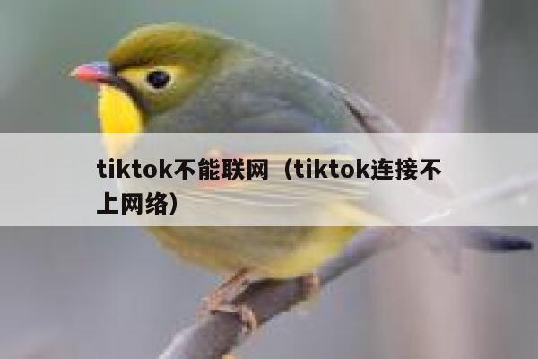 tiktok不能联网（tiktok连接不上网络） 第1张