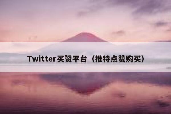 Twitter买赞平台（推特点赞购买） 第1张