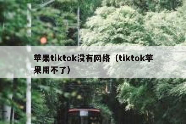 苹果tiktok没有网络（tiktok苹果用不了） 第1张