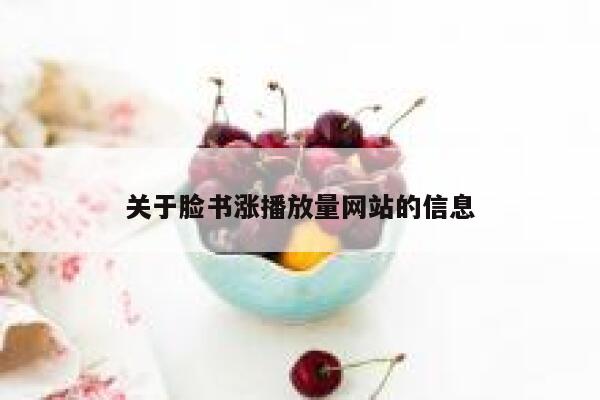 关于脸书涨播放量网站的信息 第1张