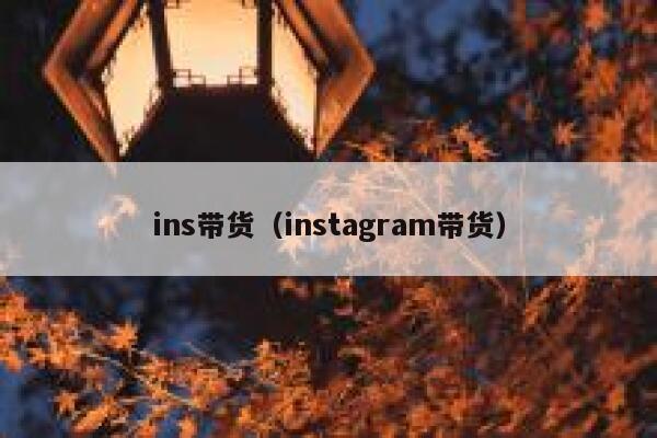 ins带货（instagram带货） 第1张