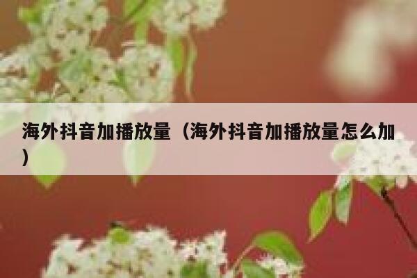 海外抖音加播放量（海外抖音加播放量怎么加） 第1张